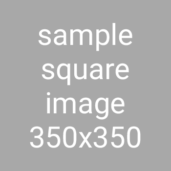 Sample Square Image Sample Square Image