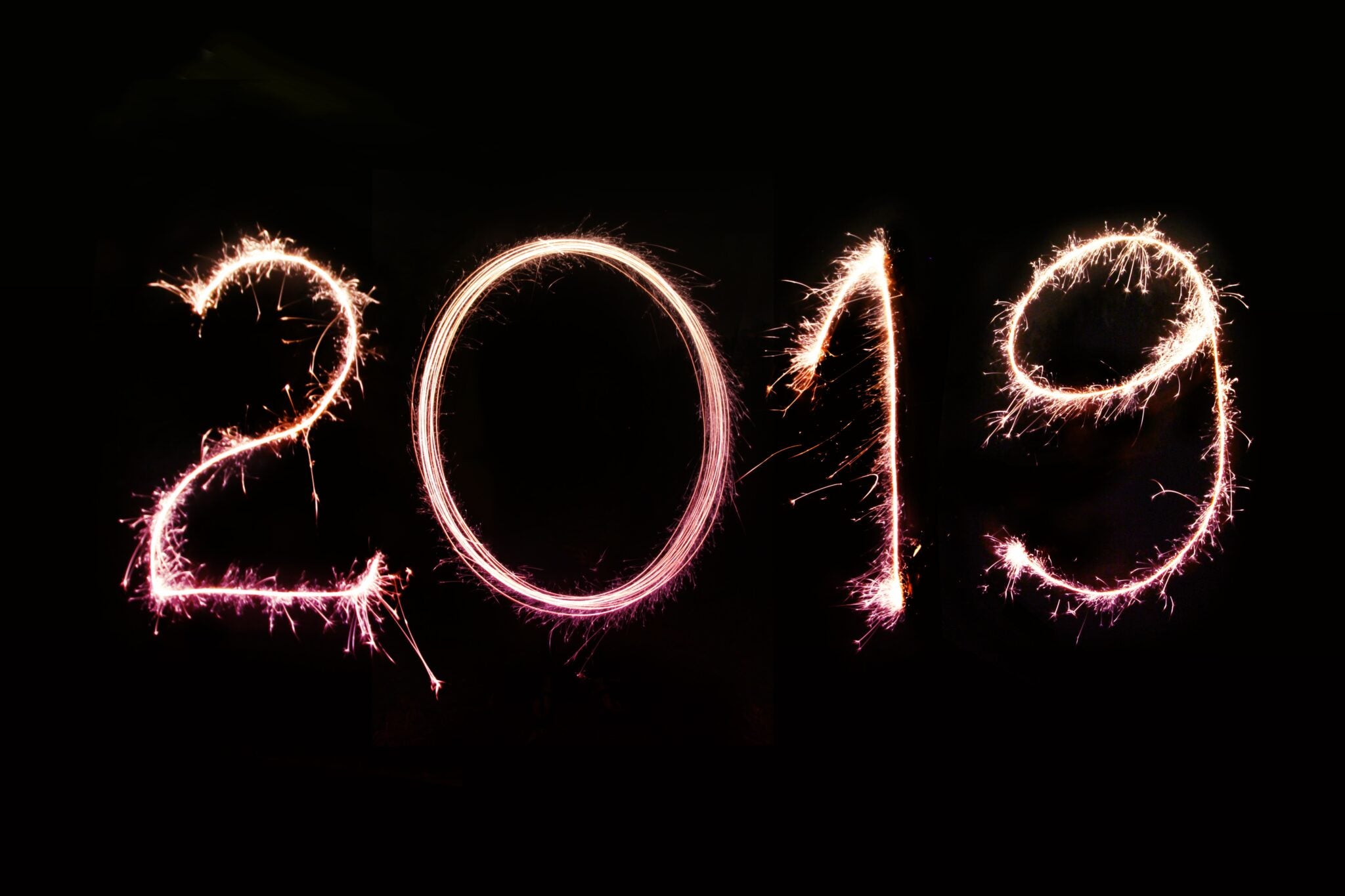 2019 banner image